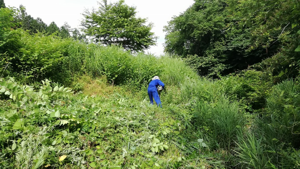 岐阜県八百津町「福地ふくしまさくらの森」5