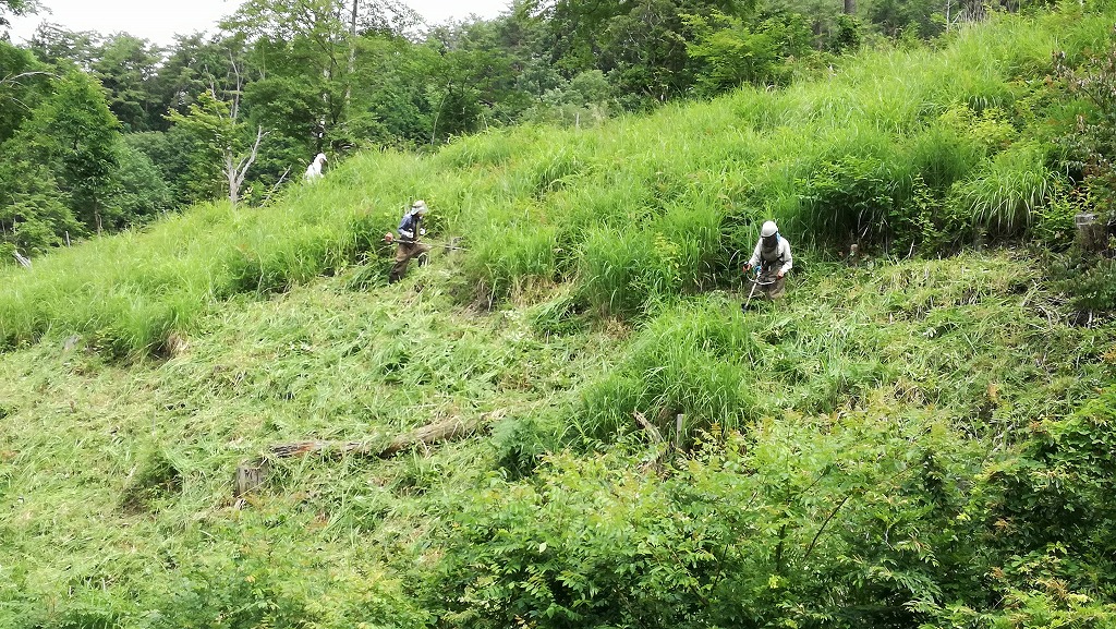 岐阜県八百津町「福地ふくしまさくらの森」2