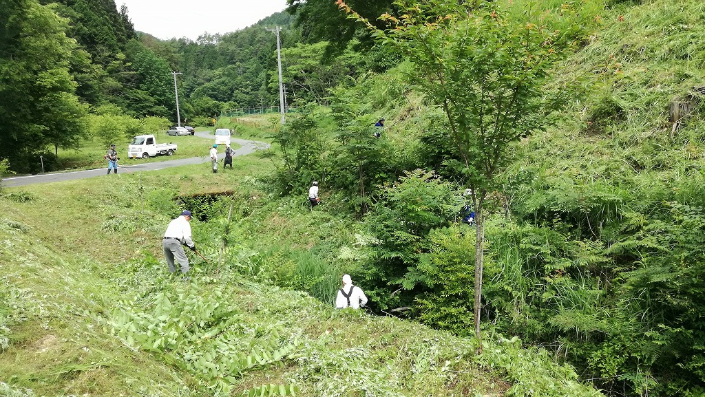 岐阜県八百津町「福地ふくしまさくらの森」1