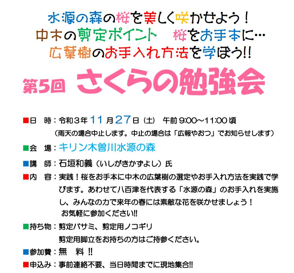 さくらの勉強会