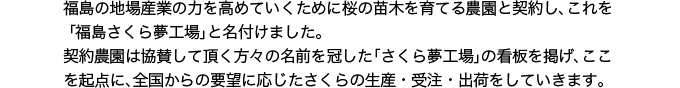 福島の地場産業の力を高めていくために桜の苗木を育てる農園と契約し、これを「福島さくら夢工場」と名付けました。契約農園は「さくら夢工場」の看板を掲げ、ここを起点に、全国からの要望に応じたさくらの生産・受注・出荷をしていきます。また、福島のさくらを受け取って植樹し、見守ってくださる全国の各地域も、(そこで受注や出荷はしませんが)“夢を育む場所”という意味では同様に「福島さくら夢工場」となります。地域での認知を広めていただければ幸いです。